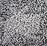 Ryszard Winiarski, Untitled