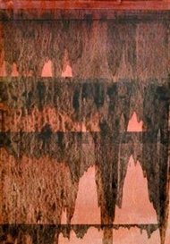 Erwin Bohatsch, Untitled