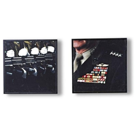 Alfredo Jaar, Guess Who's Coming to Dinner