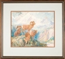 Alexander Phimister Proctor, Big Horn Mountain Sheep