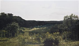 Beate Gütschow, LS#5, 2000