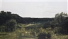 Beate Gütschow, LS#5, 2000