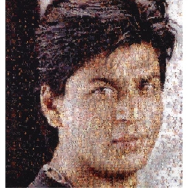 Rashid Rana, Ommatidia III (Shahrukh Khan)
