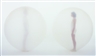 Tilman Peschel, Circuit Respiration 3