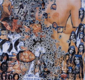 Thomas Hirschhorn, Power of Brazil