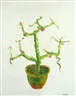 Zhong Cheng 2011 Spring Auction Chinese Contemporary Art & Sculpture - Zhong Cheng Auction
