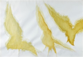 Gillian White, Untitled
