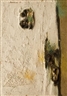 Renato Barisani, Processo materico
