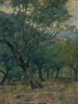 Alberto Carosi, Alberi in collina