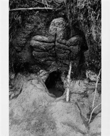 Ana Mendieta, Untitled