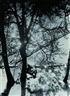 Werner Rohde, Paris