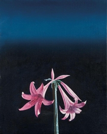 Bruce Cohen, Untitled (Pink Lilies)