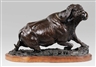 David Schaefer, Big 5, Cape Buffalo