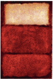 Rashid Rana, What Lies Between Flesh and Blood