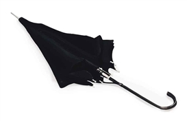Richard Bosman, Umbrella