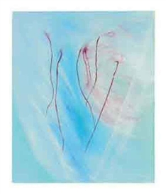 Daniel Hesidence, Untitled