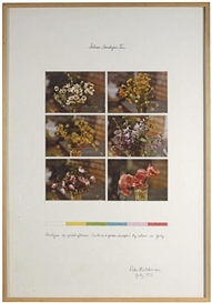 Peter Hutchinson, 2 works: Colour Analysis II; and a companion work, Navajo Reservation, Desert Project