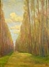 Josef Zamazal, Poplar alley