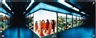Miwa Yanagi, Elevator Girl House