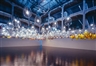 Yokohama Art triennale to explore quake, life's mysteries