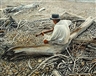Mark Cross, Beached Guitarist