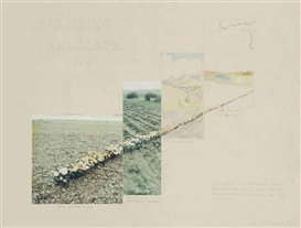 Peter Hutchinson, Coinciding landscape No. 2.