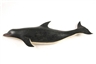 Clark Voorhees, Bottlenose Dolphin in Painted Wood