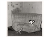 Roger Ballen, Sitting Room, from the Shadow Chamber series