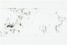Georgia Marsh, COLD MOON III