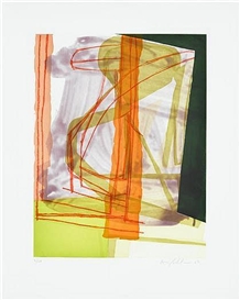 Amy Sillman, O & N