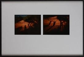 Eve Sonneman, 2 works: Shadows, Sante Fe, New Mexico, 1978