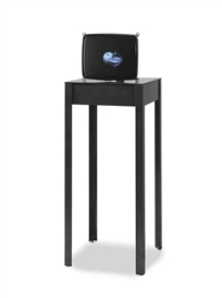 Gary Hill, Liminal Objects #7 (Gyroscope and Apple)
