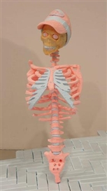 Folkert de Jong, Untitled (Skeleton)