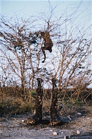 Huma Bhabha, Untitled
