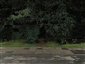 Contemporary Art Day Auction - Sotheby's London