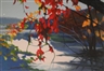 Tadashi Asoma, Cascading leaves