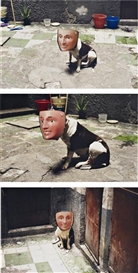 Francis Alÿs, 3 works: Mexico D.F. 2002