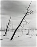 Darren Almond, Night + Fog (Monchegorsk) (17)