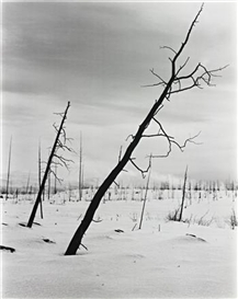 Darren Almond, Night + Fog (Monchegorsk) (17)