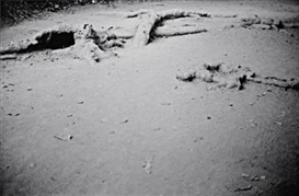 Anri Sala, Untitled