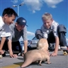 Patricia Piccinini, Social Studies (from the series SO2)