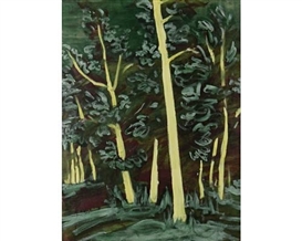Sigrid Holmwood, Birch Wood