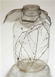 David Hammons, Fly Jar