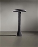 Cosima von Bonin, Therapy (#67)