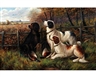 G. Manvers, Two works : Three gundogs on the moor ; spaniels with the days bag