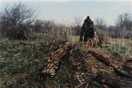 Ana Mendieta, Untitled (Silueta Series, Iowa)