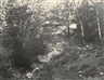 Eugène Cuvelier, Au Bas du Point de Vue du Champ, Forêt de Fontainebleau, 1862