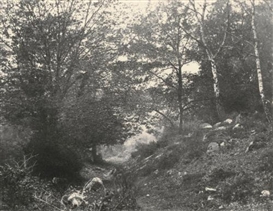 Eugène Cuvelier, Au Bas du Point de Vue du Champ, Forêt de Fontainebleau, 1862