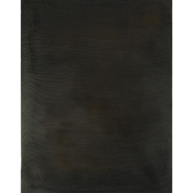 Spencer Finch, Darkness (Studio Wall November 14, 1993)