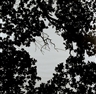 Stefan Thiel, Himmel